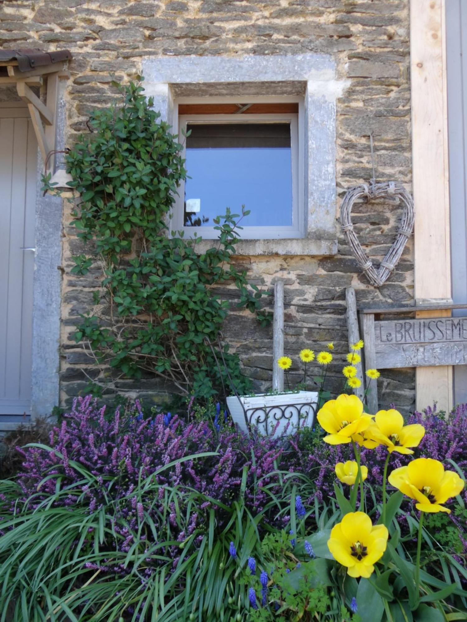 B&B Le Bruissement Bièvre Dış mekan fotoğraf